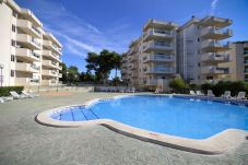 Apartment in Salou - VANCOUVER 1209 HomeStay by Turismar